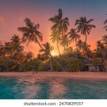 至尊国际的魅力:奢华与舒适的完美结合 1m8msg