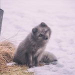 CBA篮球联赛精彩对决在线直播观看 g3uawq