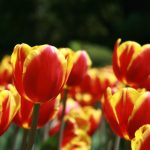 至尊天下平台:打造全新在线娱乐体验的先锋 pz46r2